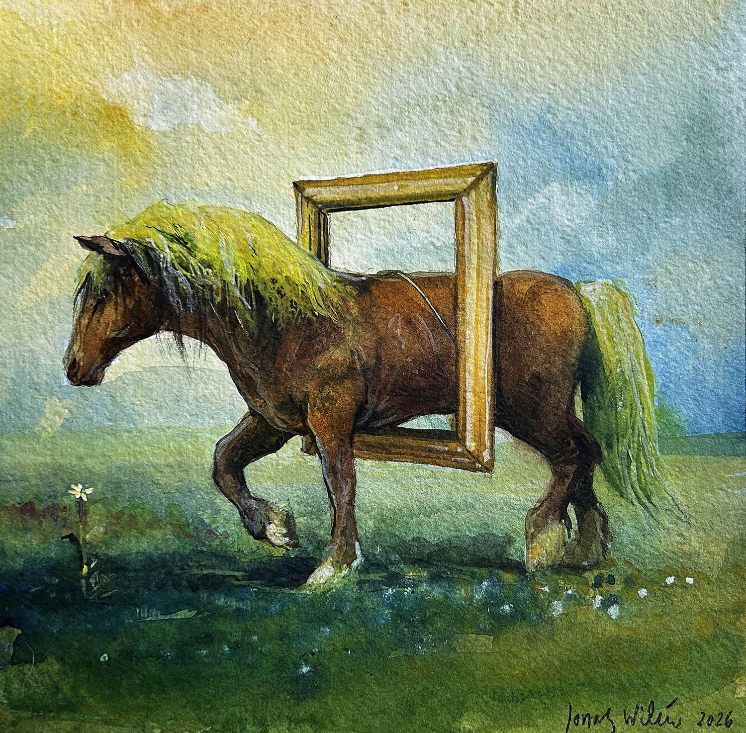 JONAS WILÉN Arbetshäst, 2026 Akvarell & gouache 21 x 21 cm