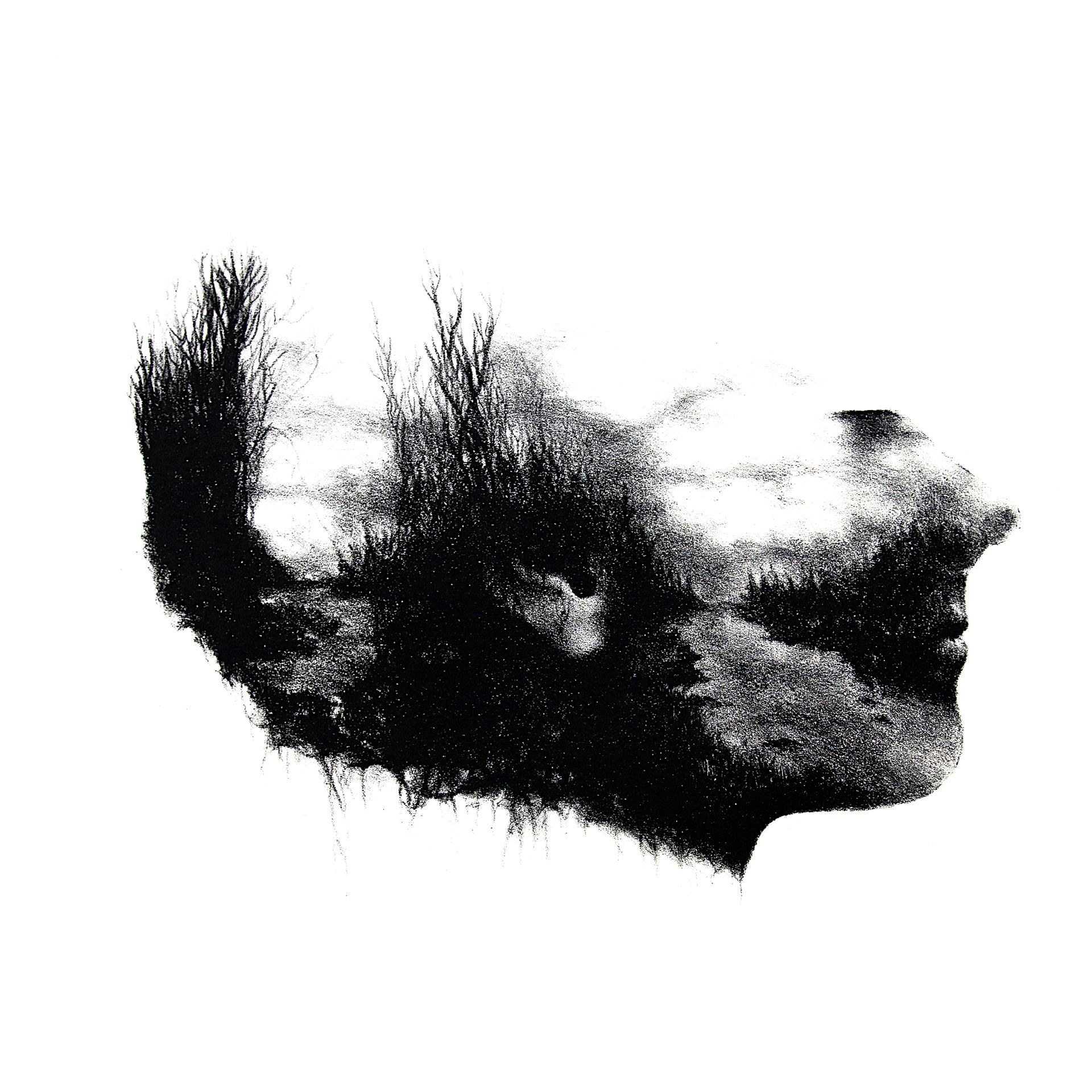 ANNI KRISTIINA My mind, 2014 litografi 