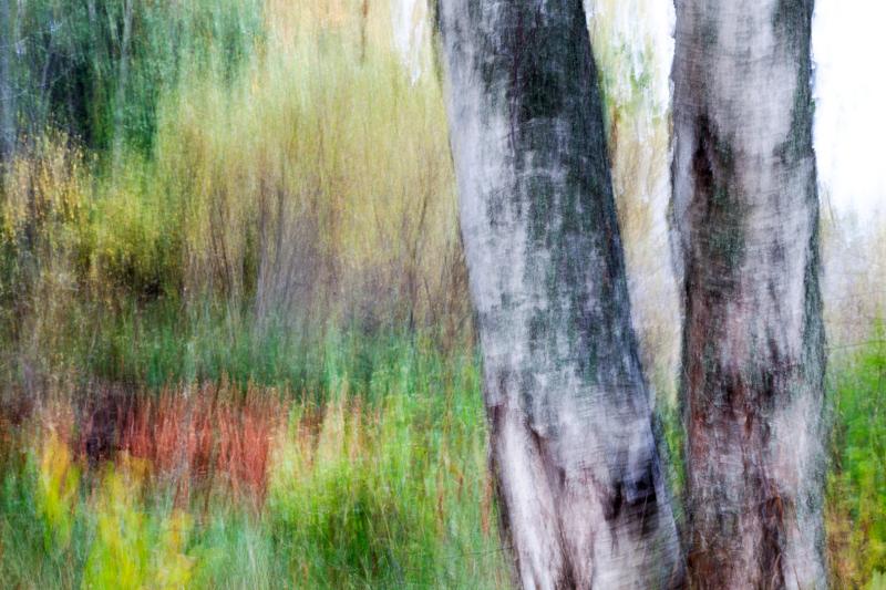 Natur fotografi